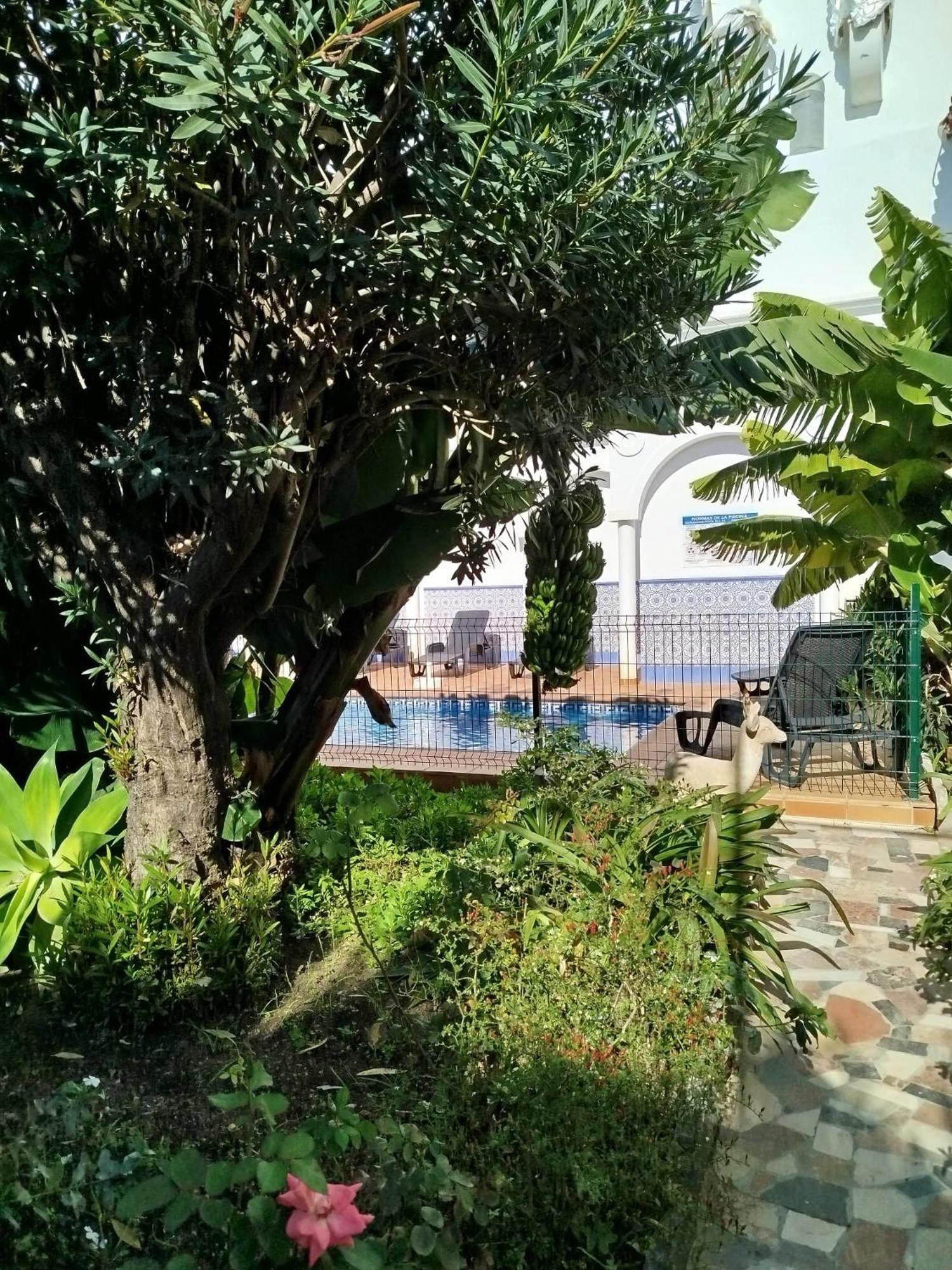 El Jardin Benerja Apartment Ngoại thất bức ảnh